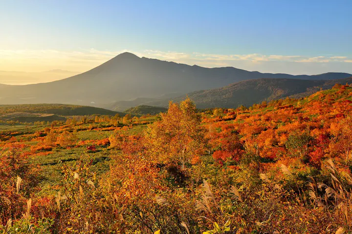 大自然の美しい光景が目白押しの高原台地!