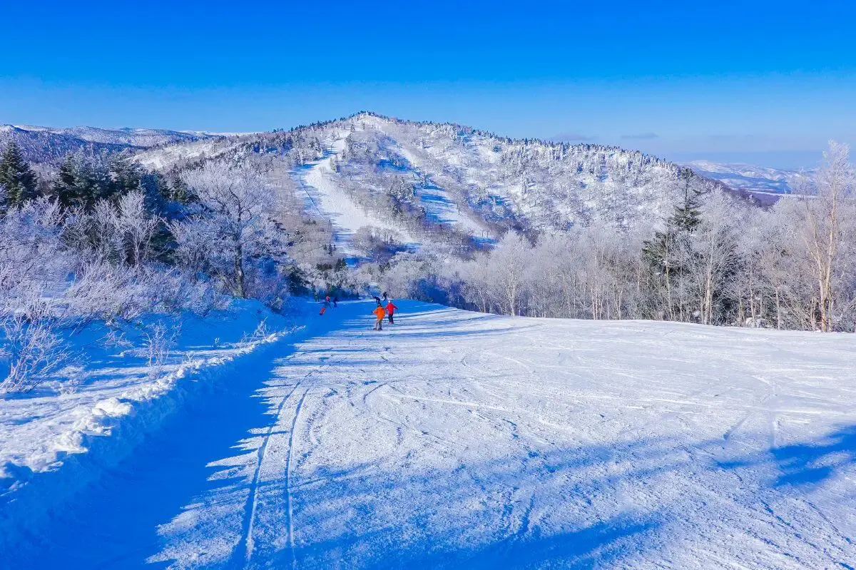 安比高原(写真 5)