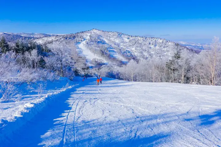 スキーヤーが集う東北屈指のスキー場！