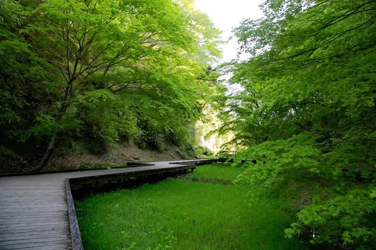 濃溝の滝（写真 2）
