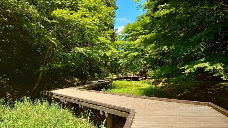 濃溝の滝