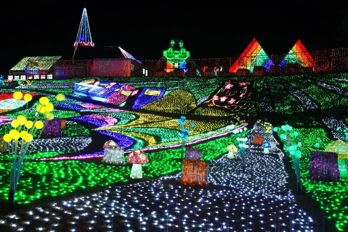 東京ドイツ村(写真 5)