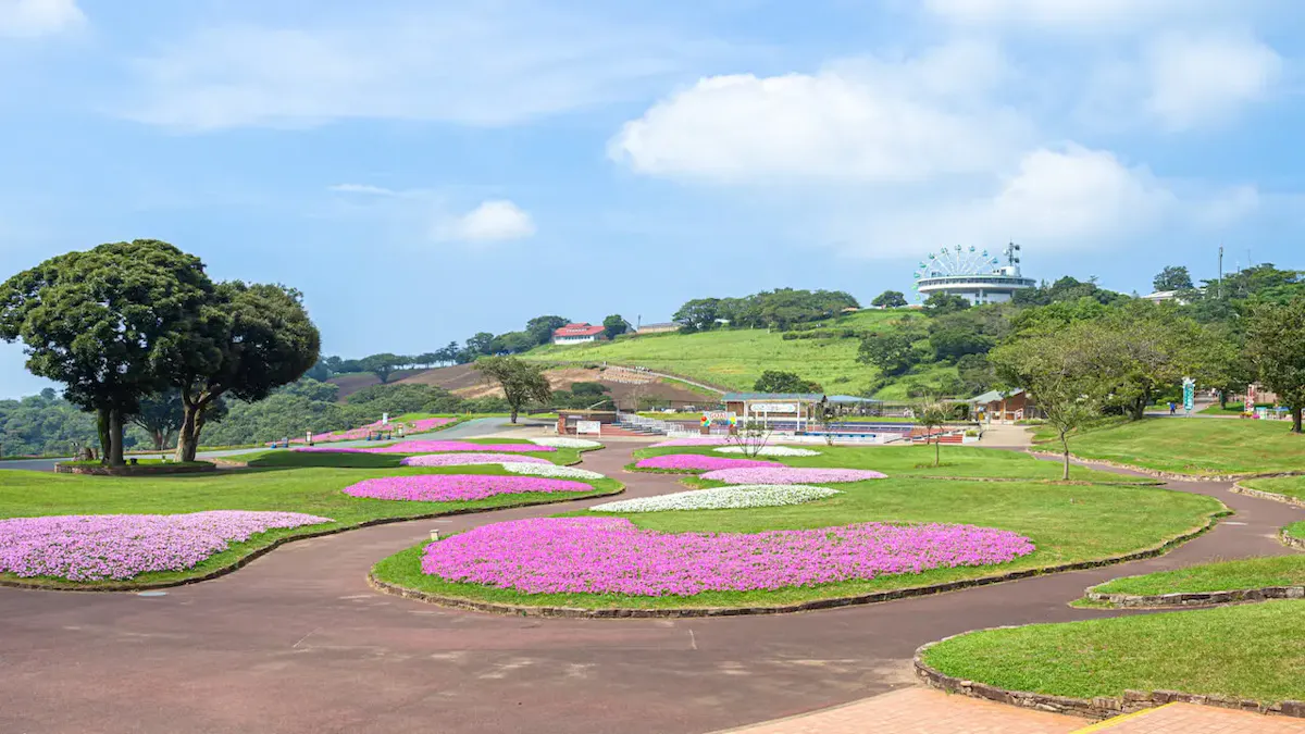 マザー牧場(写真 3)