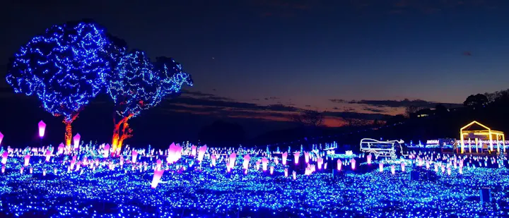 夜からでも楽しめる！夏の花火と冬のイルミ