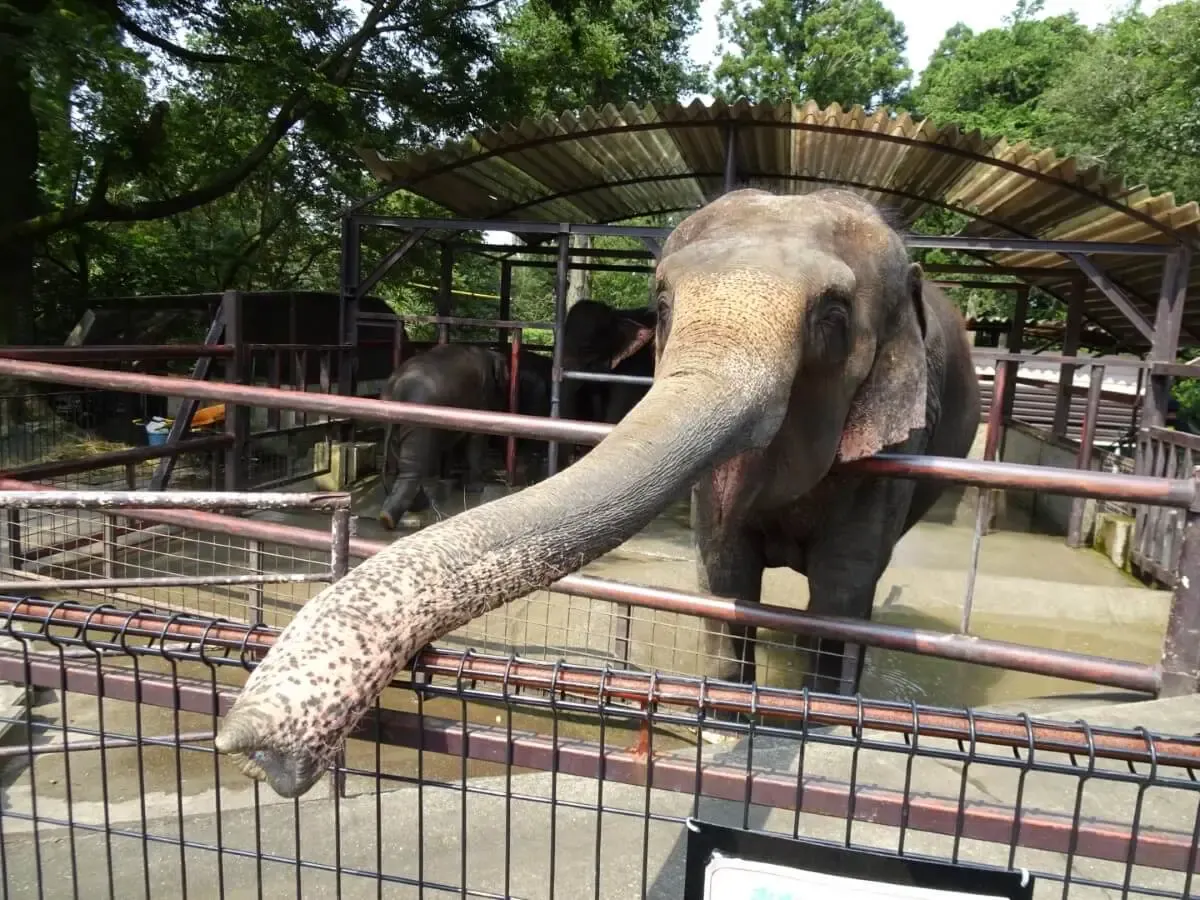 ANIMAL WONDER REZOURT(写真 4)