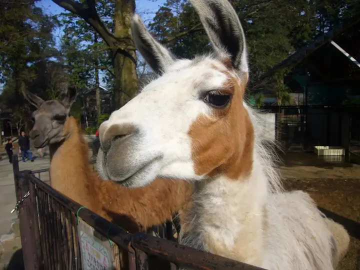 400頭羽もの動物たちに会える！