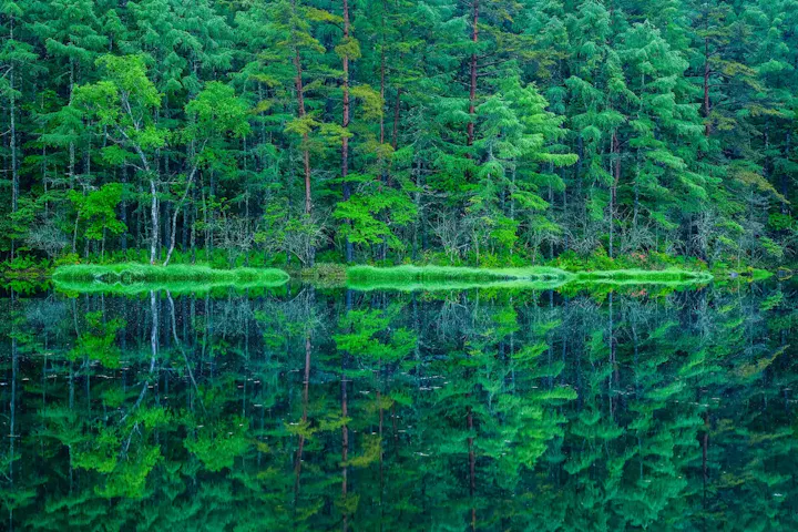 水面に映る絶景を楽しむ