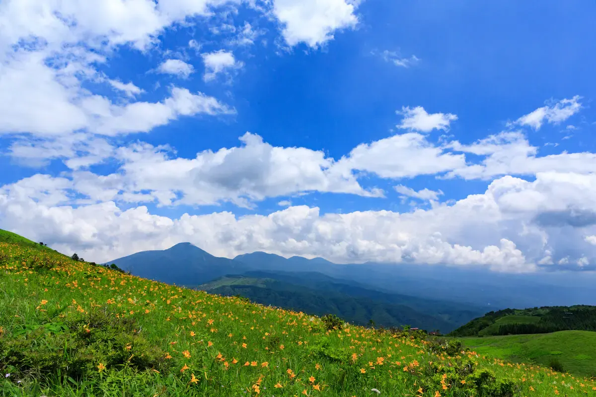 霧ケ峰高原（写真 2）