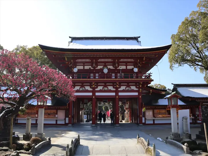 便利な直通バスで快適に旅行する