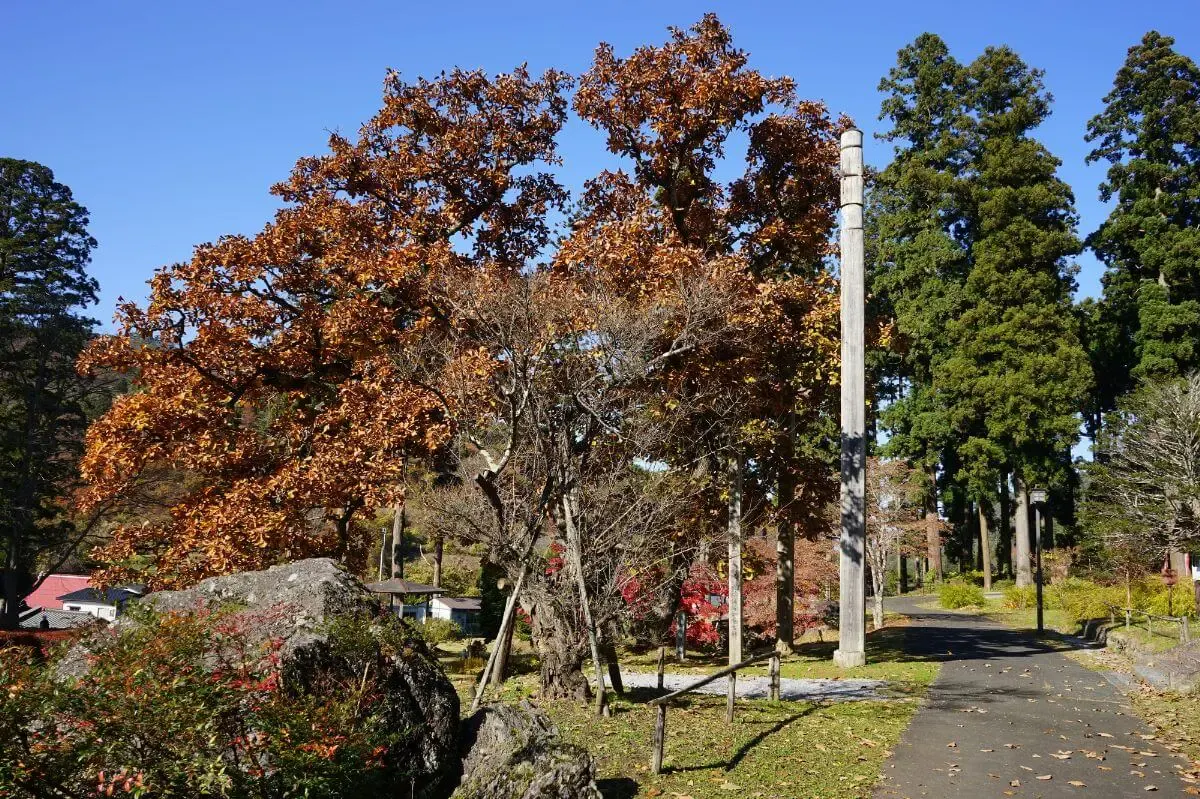大梅拈華山圓通正法寺(写真 4)