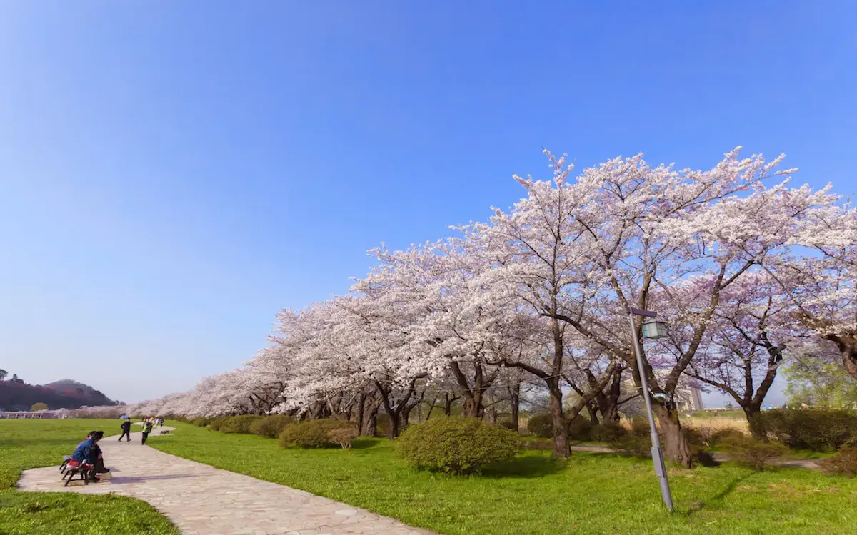 北上市立公園展勝地(写真 3)