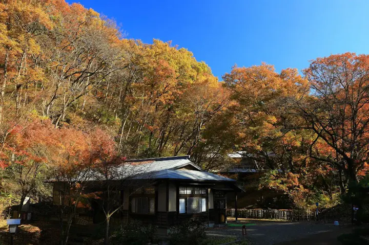 季節ごとに変わる自然の風景!