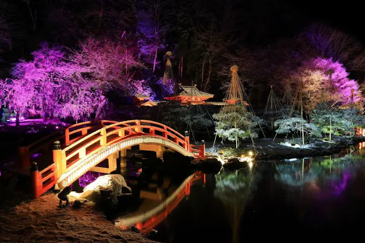 夜の幻想的な景色が広がるライトアップ！