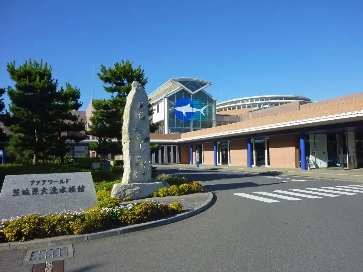 大洗温泉(写真 4)
