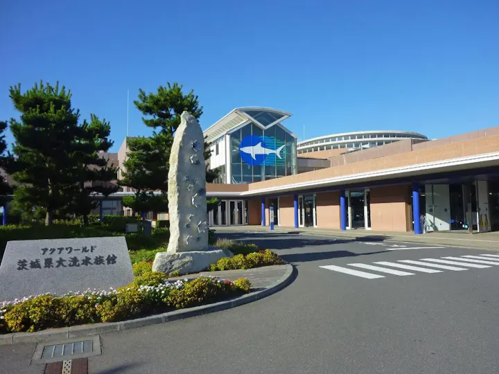 サメや熱帯系の魚が魅力的な大型水族館！