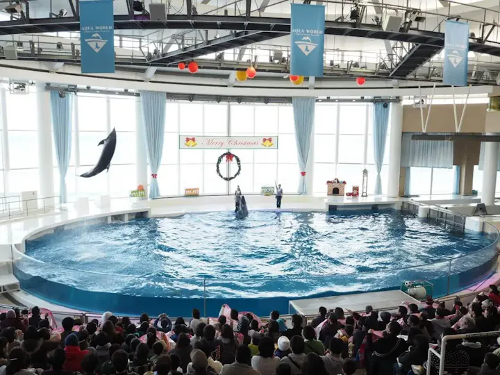 大人気のイルカ＆ペンギンショー！