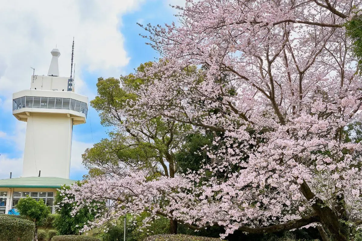 城山公園展望台（写真 4）