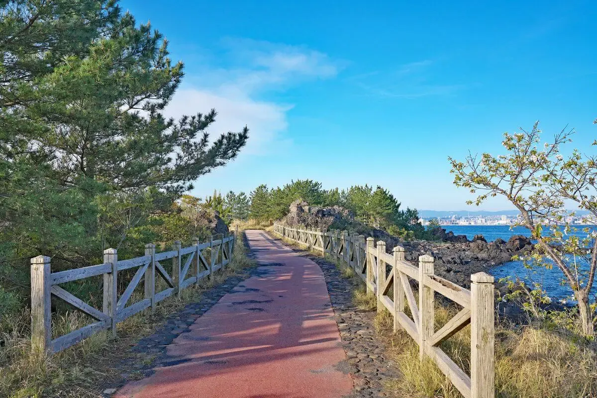 桜島 マグマ温泉（写真 2）