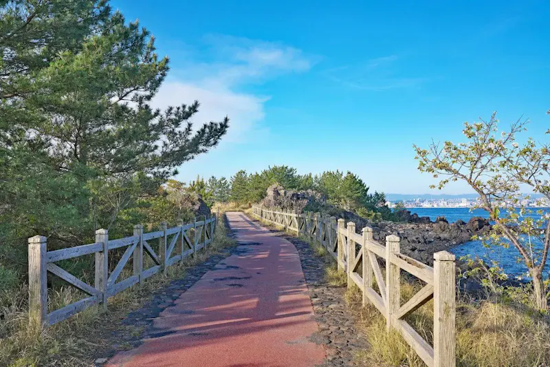 桜島 マグマ温泉