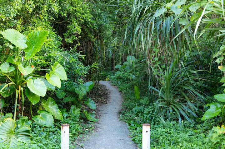 大河「西郷どん」の撮影に使用された小道！