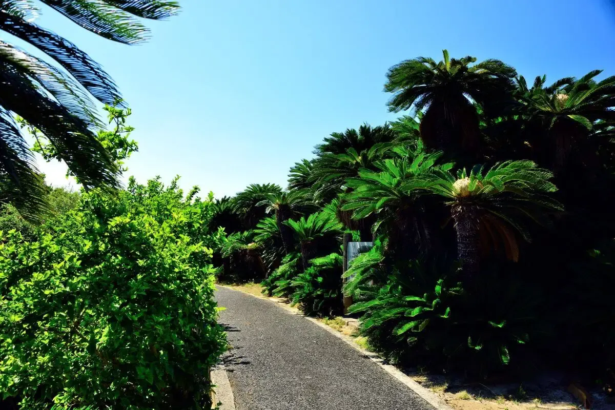 あやまる岬観光公園(写真 6)