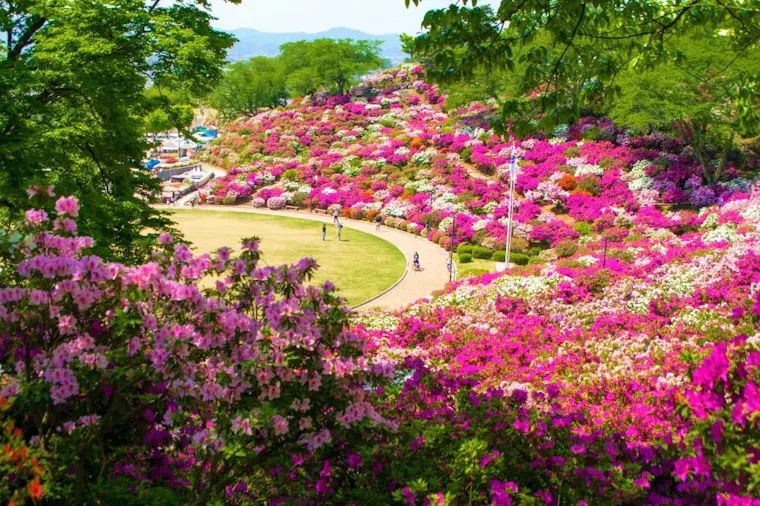 西山公園