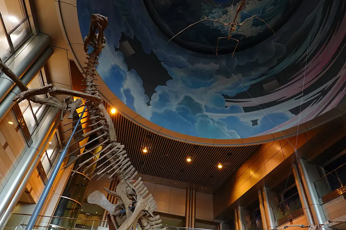 神奈川県立生命の星 地球博物館(写真 4)