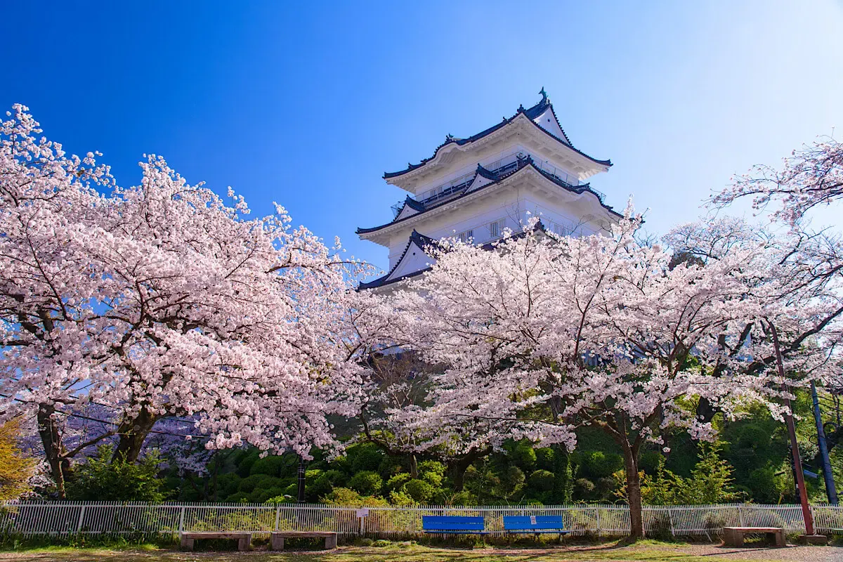 小田原城（写真 3）