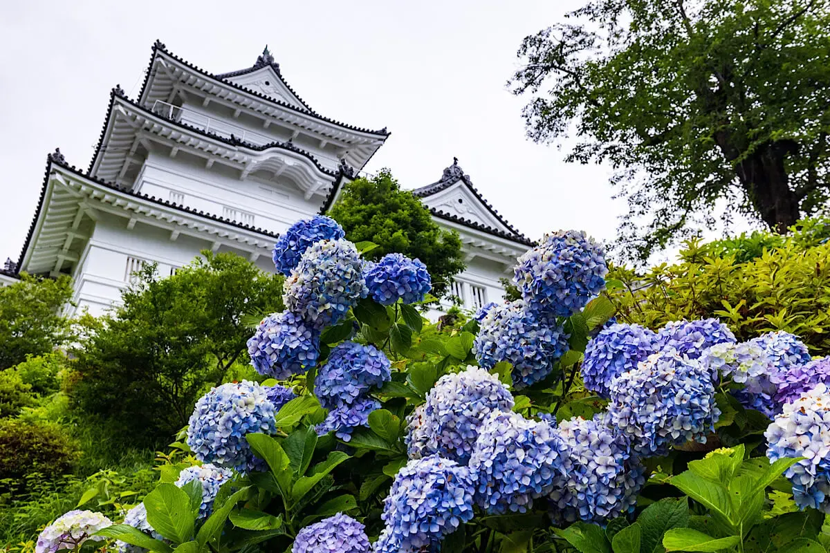 小田原城（写真 4）