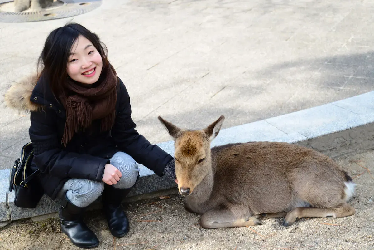 宮島(写真 2)
