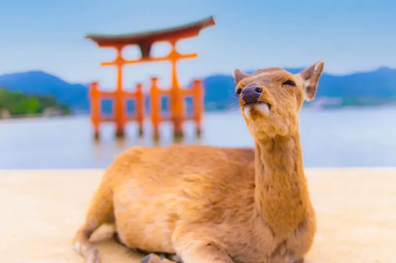 宮島