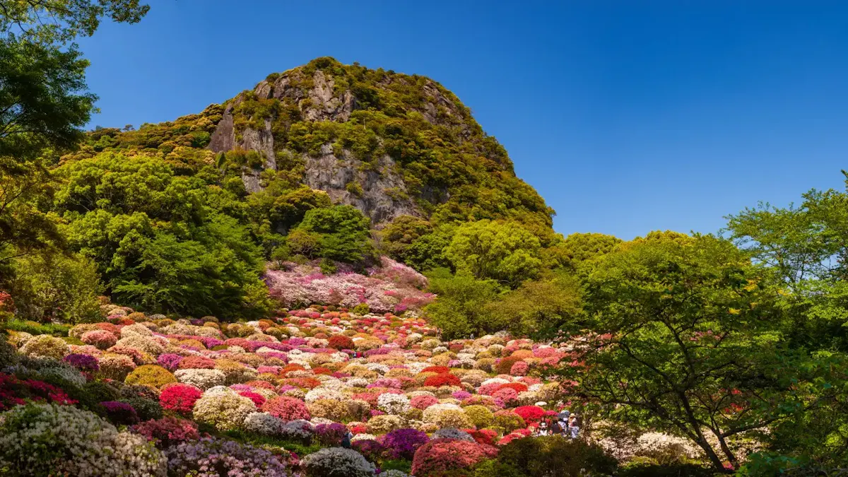 御船山楽園