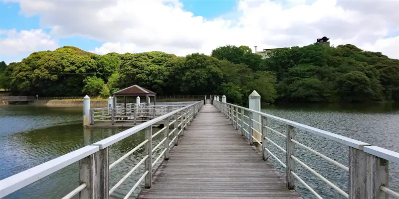 きたがた四季の丘公園