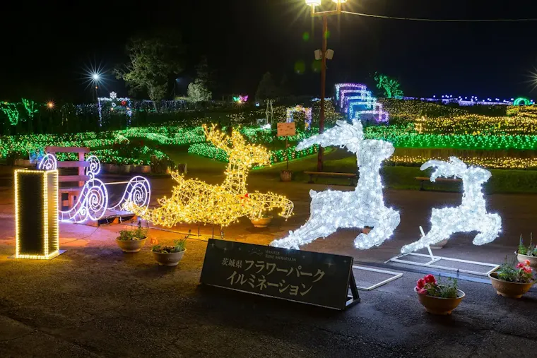 茨城県フラワーパーク
