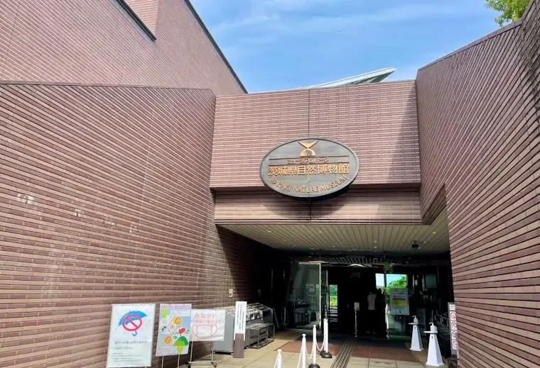 ミュージアムパーク茨城県自然博物館