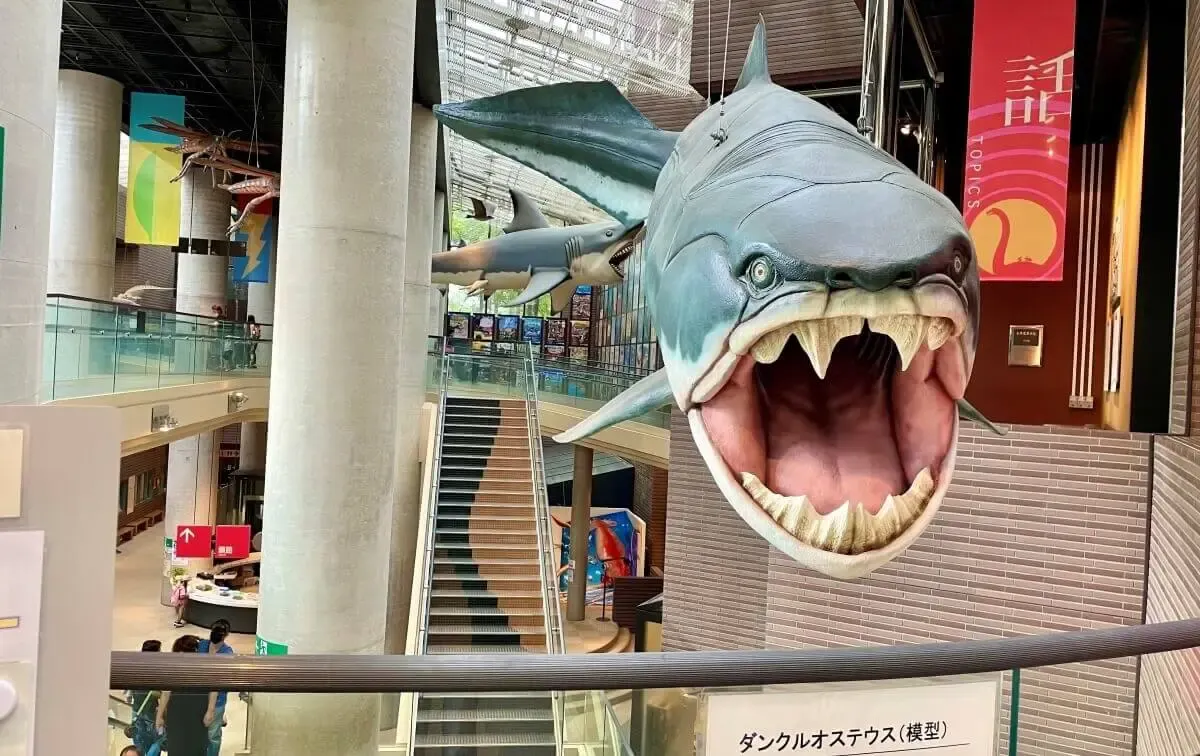 ミュージアムパーク茨城県自然博物館（写真 3）