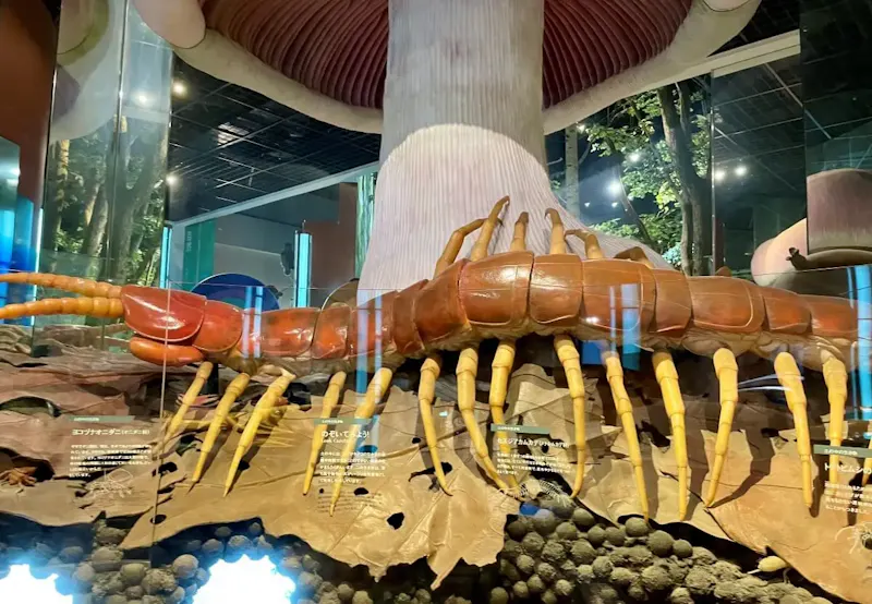 ミュージアムパーク茨城県自然博物館