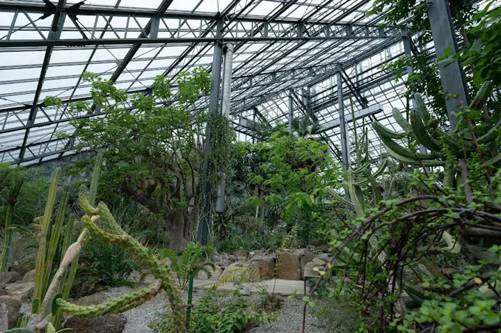 多様な植物や樹木が見られる植物園！