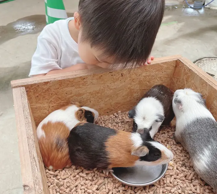 動物たちと触れ合いリラックスできる施設