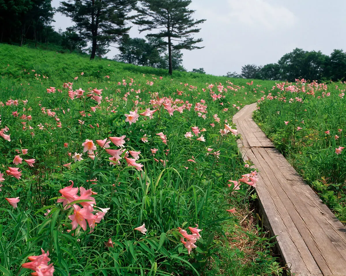 高清水自然公園