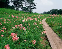高清水自然公園