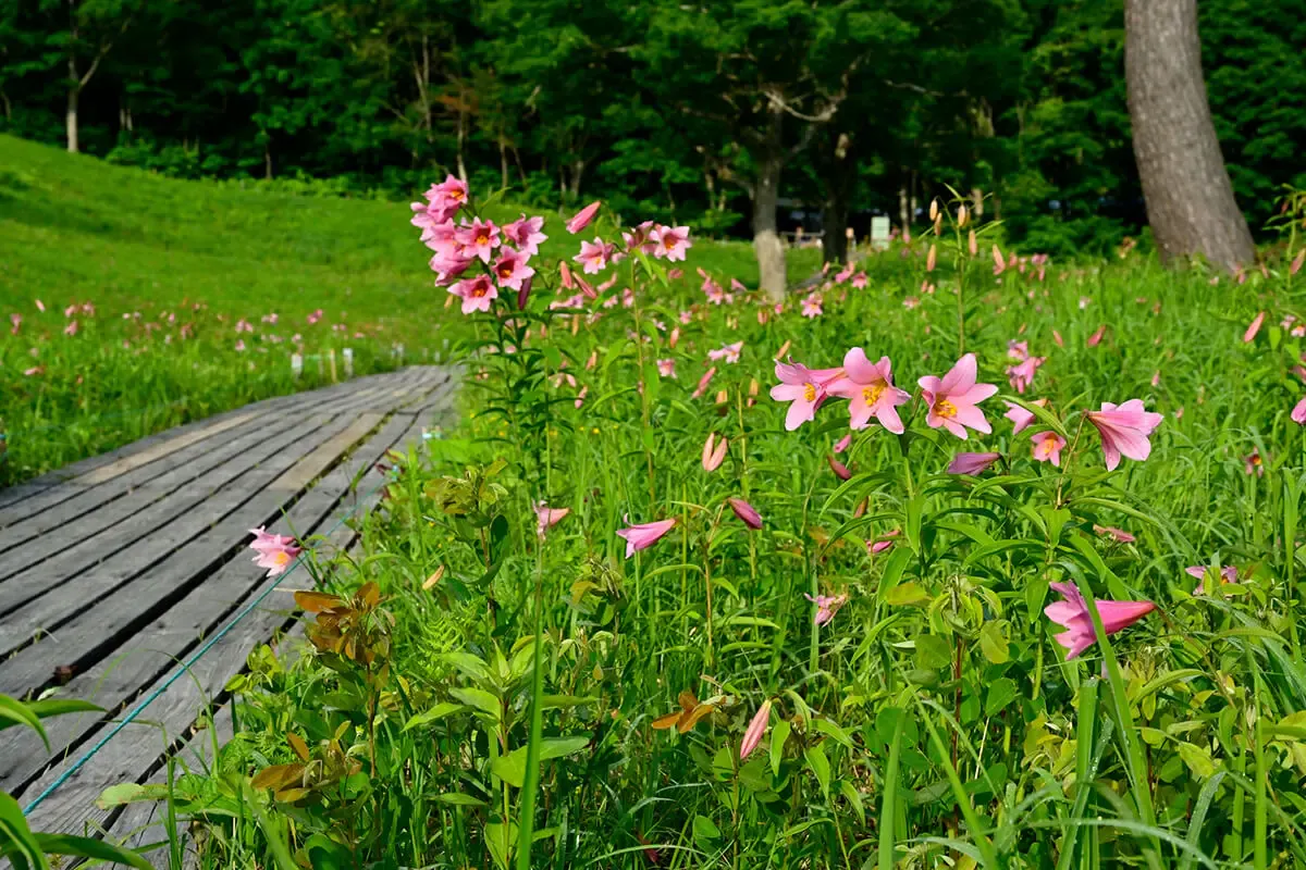 高清水自然公園（写真 2）