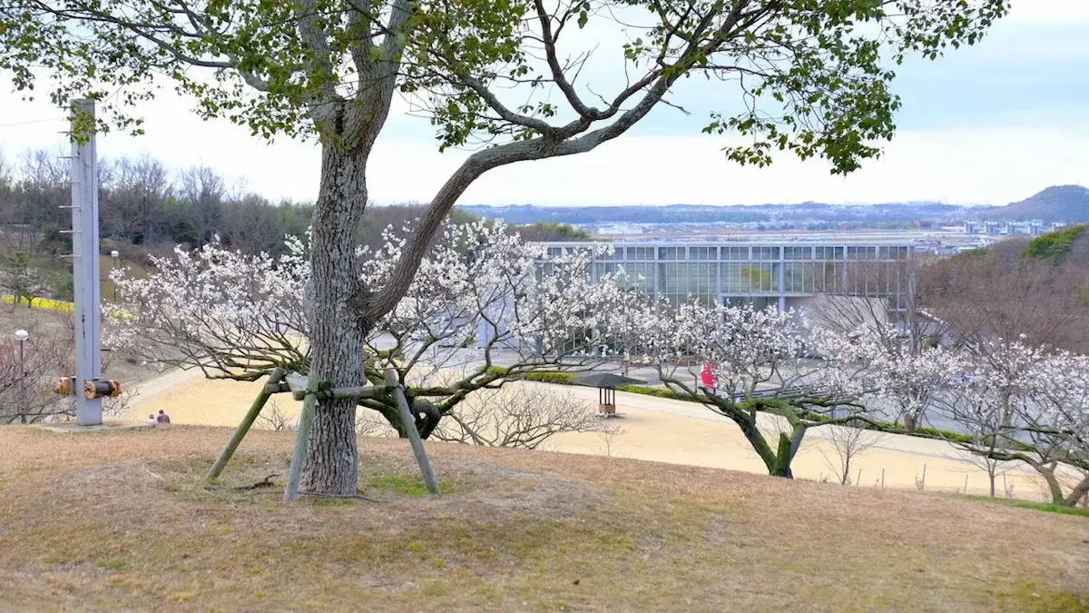 みとろフルーツパーク(写真 2)