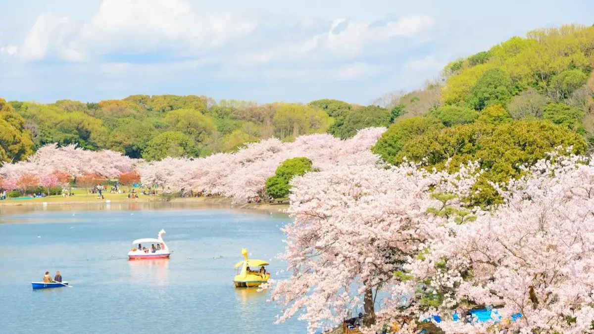 明石公園(写真 4)