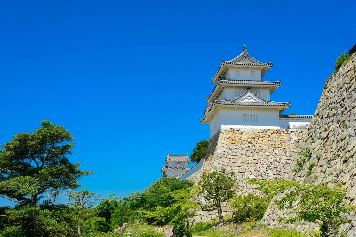 明石公園(写真 2)