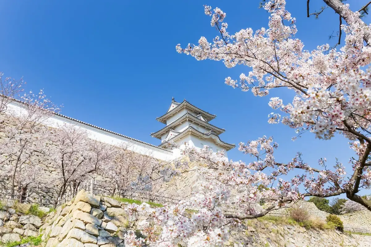 明石公園(写真 5)