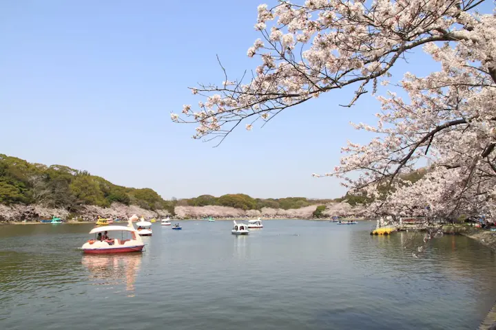 湖でボートを楽しむ