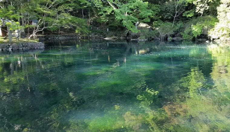 出流原弁天池