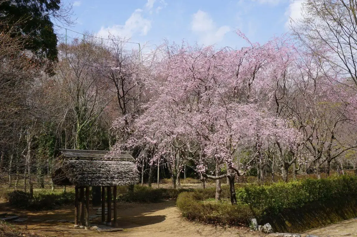 栗田美術館(写真 4)