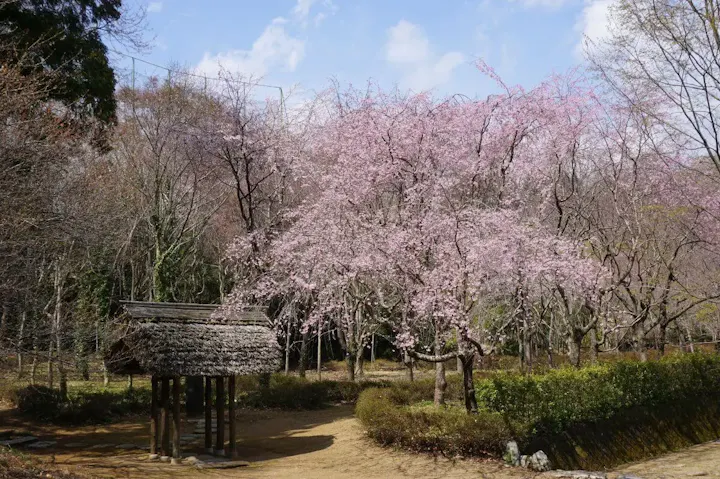 季節毎に様々な花や樹木が咲き誇る庭園！
